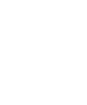 Lone Star Gunsmithing Princeton Texas logo wht