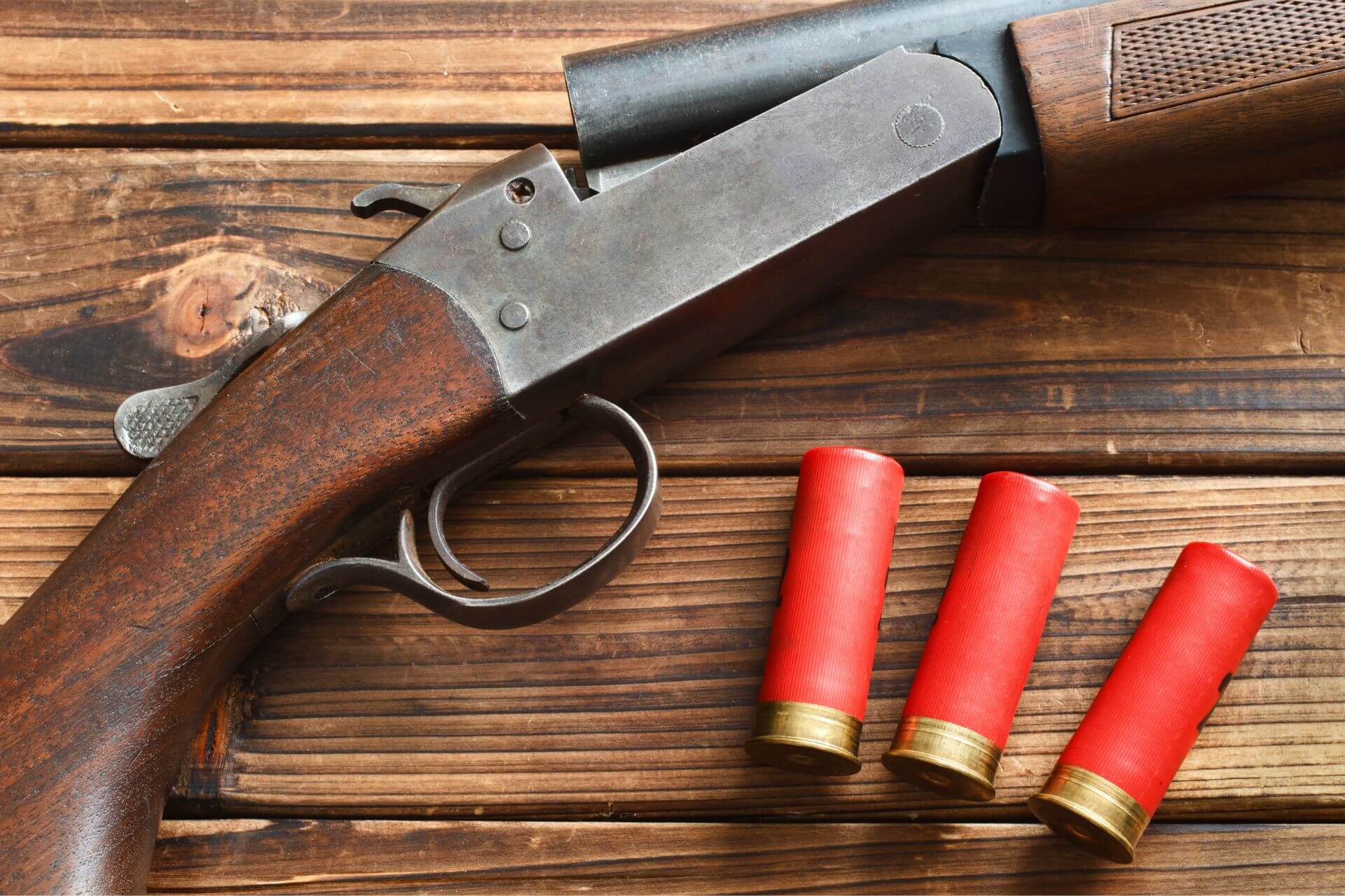 Read more about the article Why It’s Important to Have Your Shotgun Professionally Cleaned Before Hunting